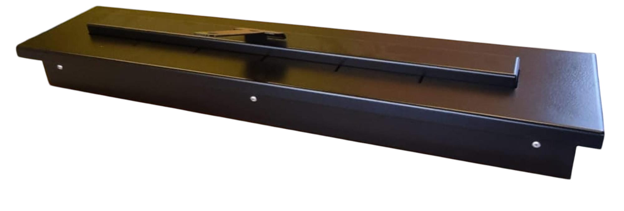 Biosemineu SEO Insert 60 Biosemineu SEO Insert 60