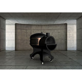 Cuptor Thermozel Alfios 1.14